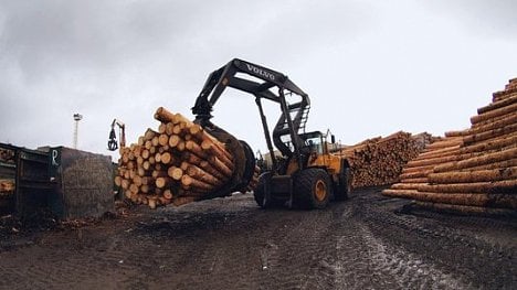 Náhledový obrázek - Dřevo jako uhlíkově neutrální zdroj? Brusel může způsobit masivní kácení lesů