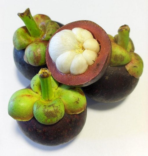 Mangostan