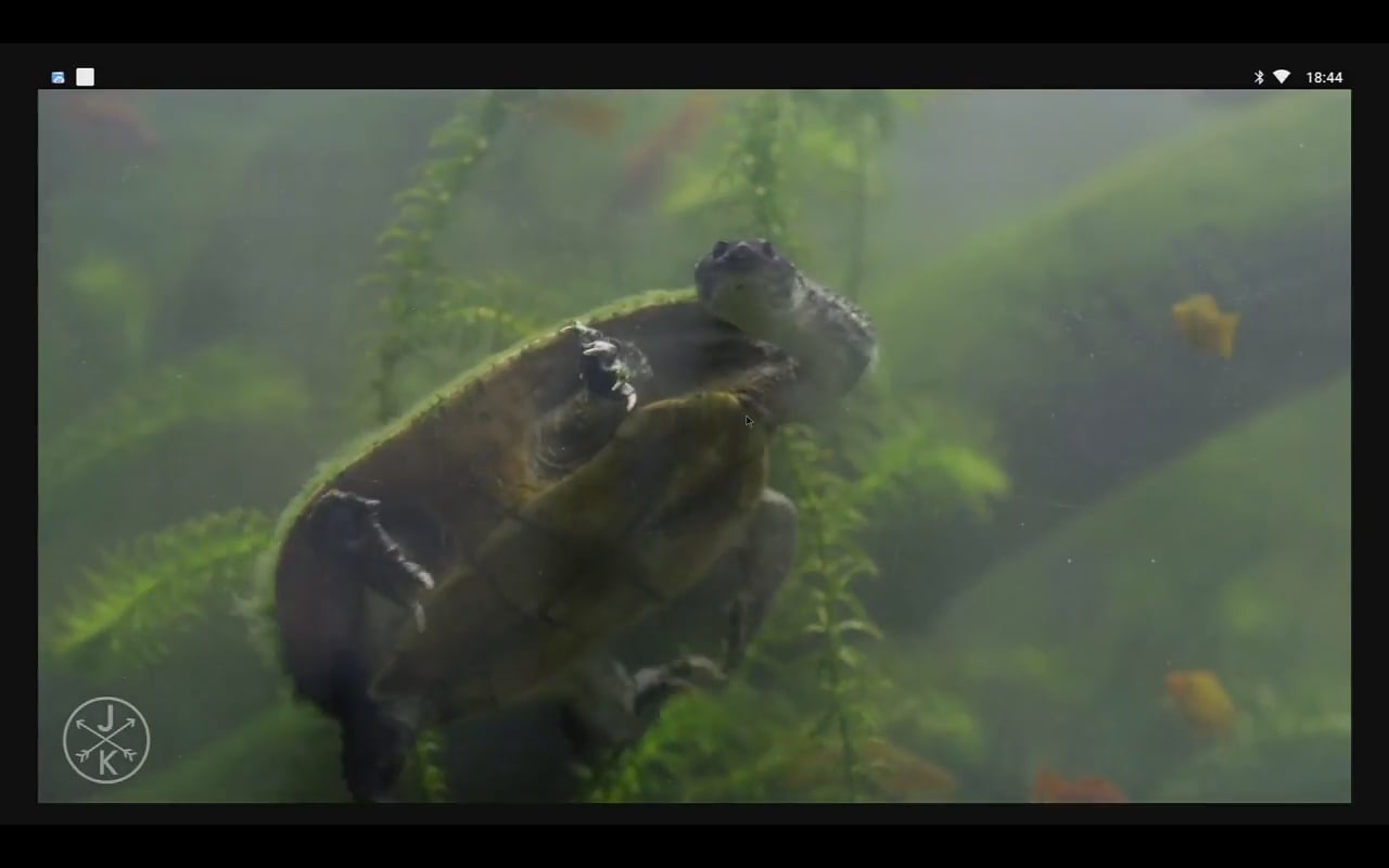 YouTube – přehrávání videa 4K a 1080p