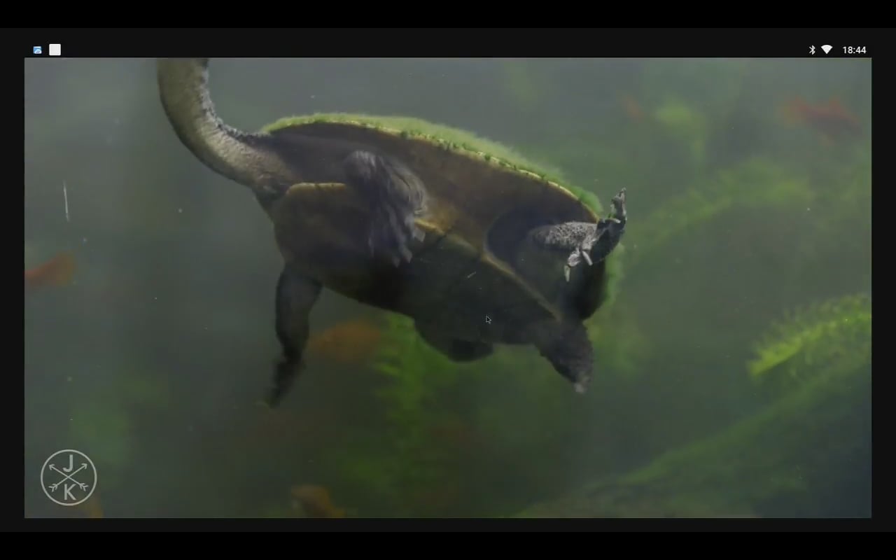 YouTube – přehrávání videa 4K a 1080p