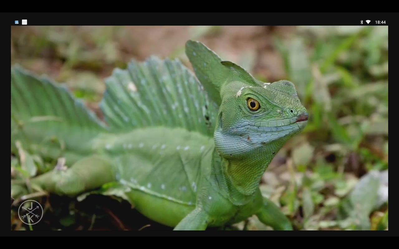 YouTube – přehrávání videa 4K a 1080p