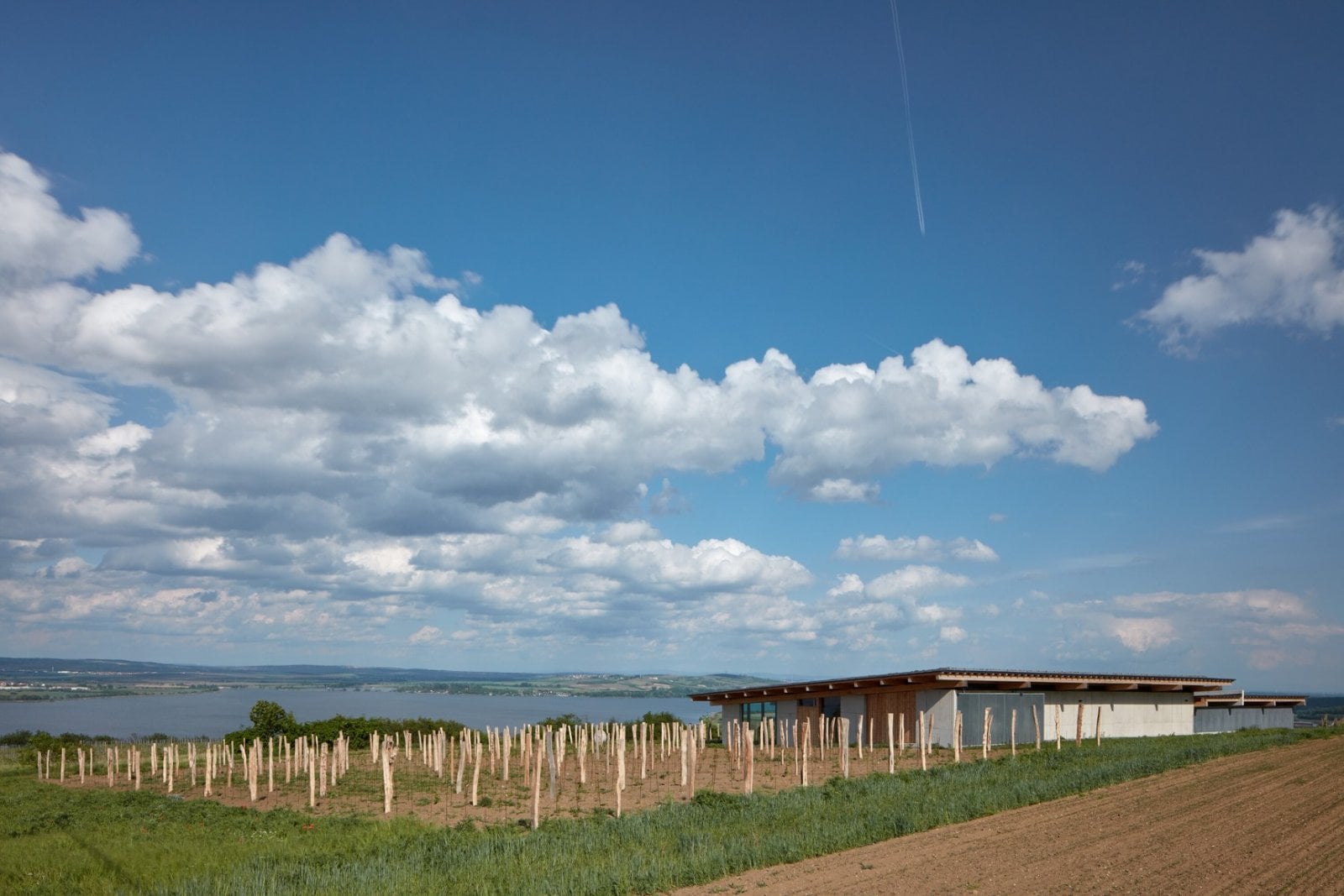 04_Vinařství Přátelé Pavlova