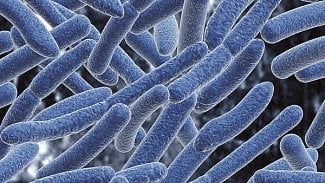 Náhledový obrázek - Zlínský soud začal řešit nákazu bakterií legionella v hotelu