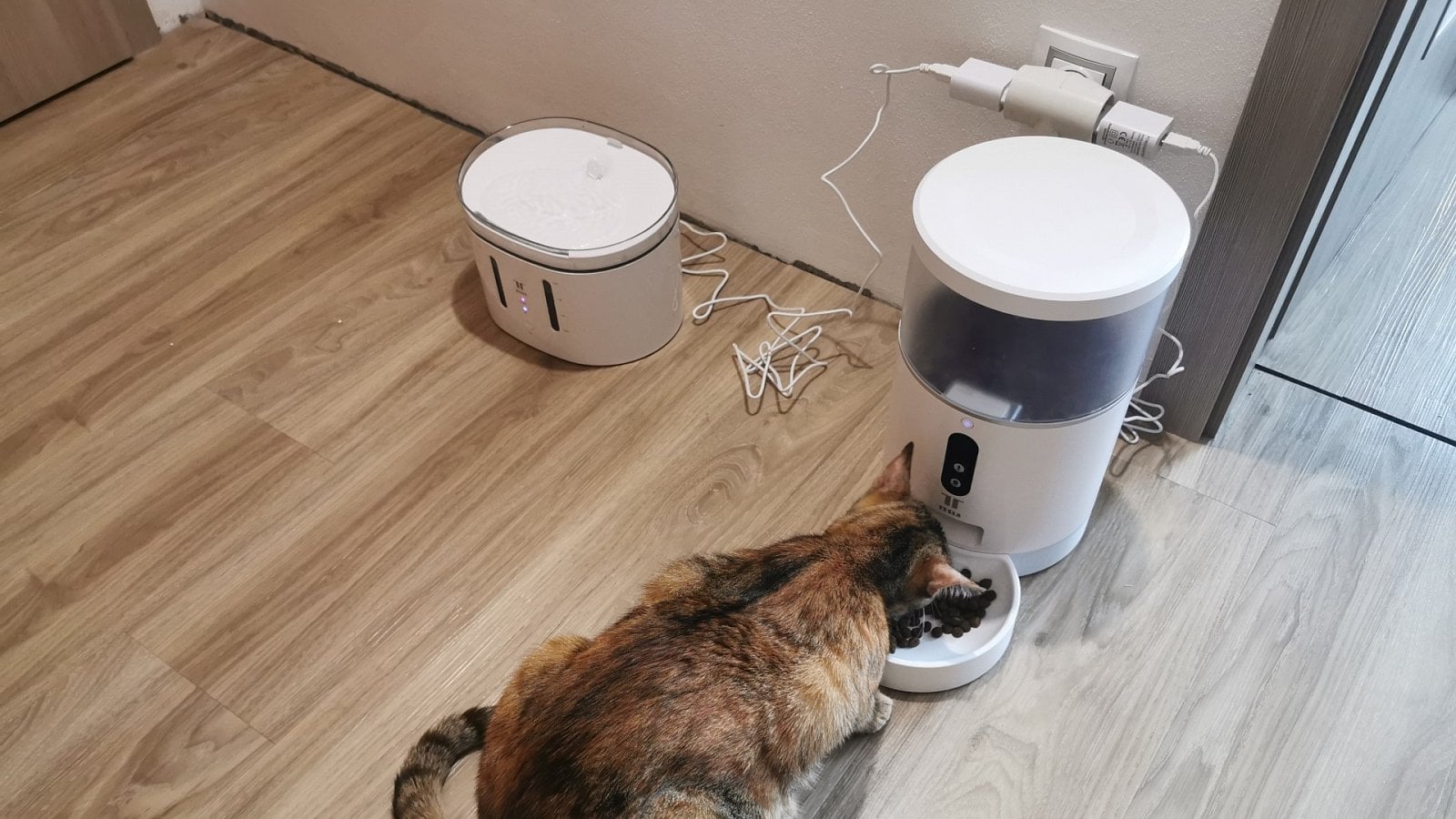 2021-08-Tesla-Smart-Pet-Feeder-Camera-recenze9.jpg