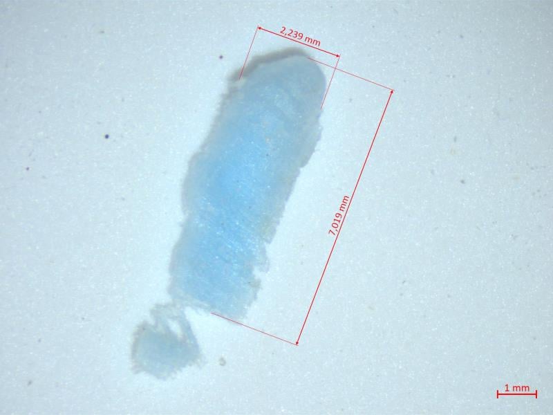 Renata Čiháčková, Brno: PŠENIČNÁ MOUKA CELOZRNNÁ - ve výrobku byla zjištěna přítomnost feromagnetických částic a dále úlomek modrého plastu. Distributor: PŘÍRODNÍ PRODUKTY JAROSLAV PETROVICKÝ, LIBEREC