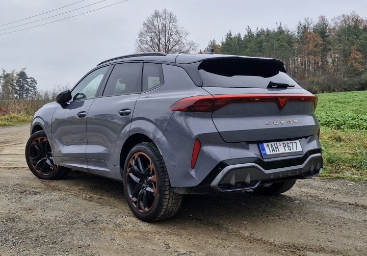 Autor: Roman Havlín