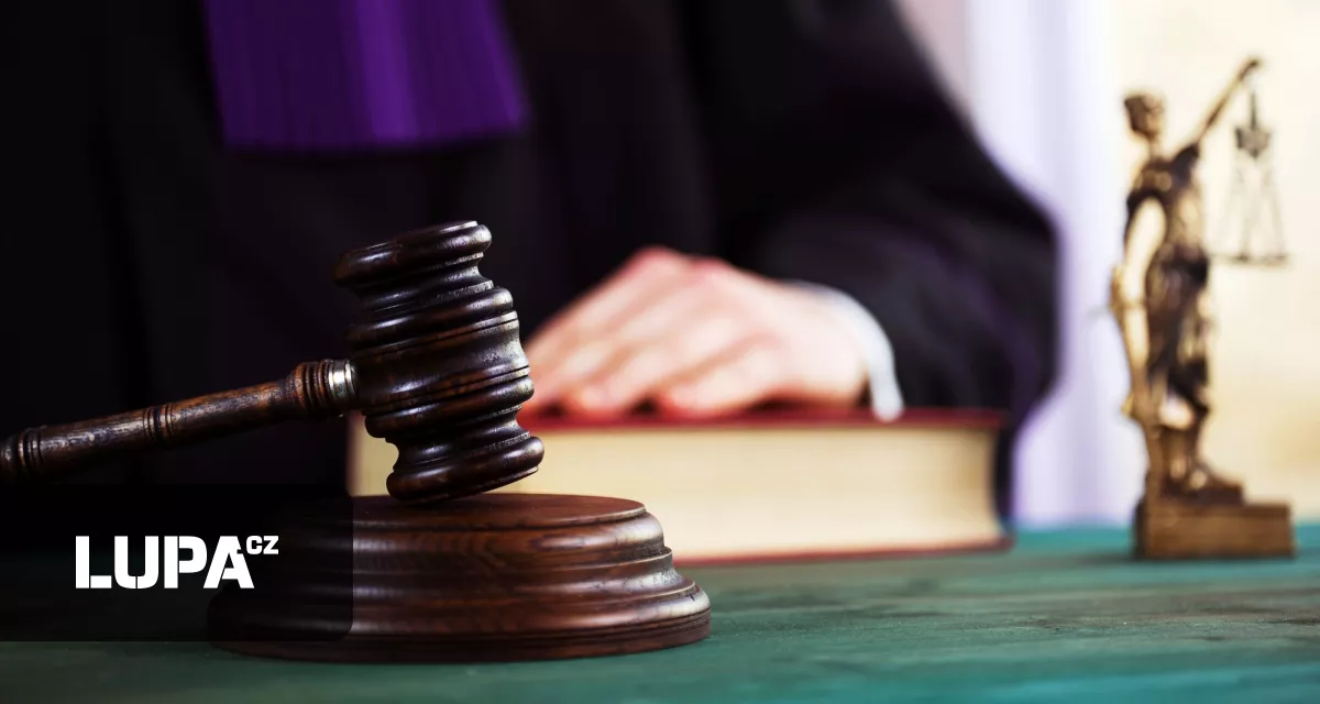 Spolek PilsFree po soudních prohrách zaplatí daně, fungovat ale bude dál