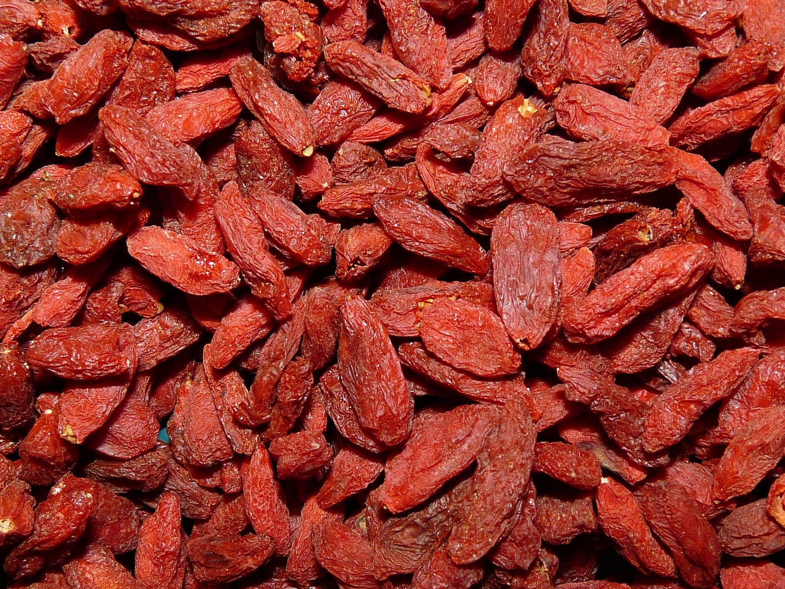 Goji - kustovnice čínská