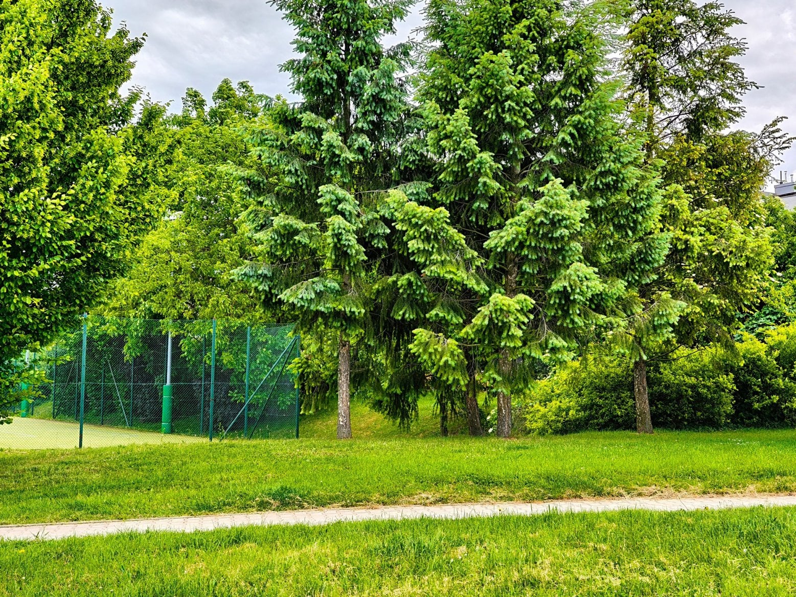 Fotky z fotoaparátů Realme GT 7