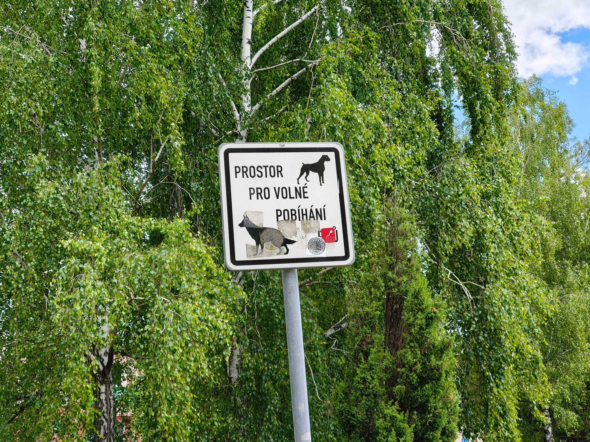 Fotky z fotoaparátů Realme GT 7