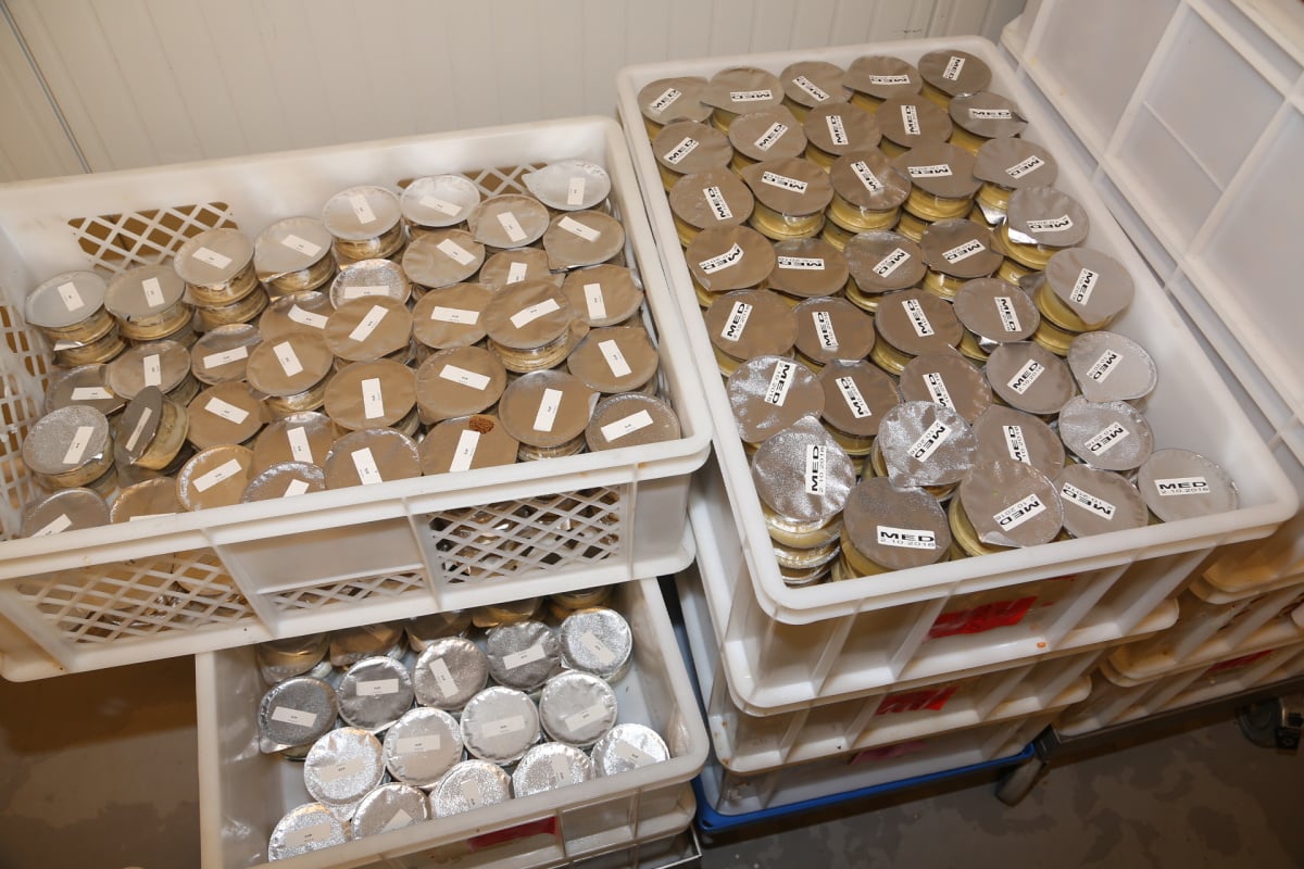 Titbit: Jak šmoulové vyrábí saláty