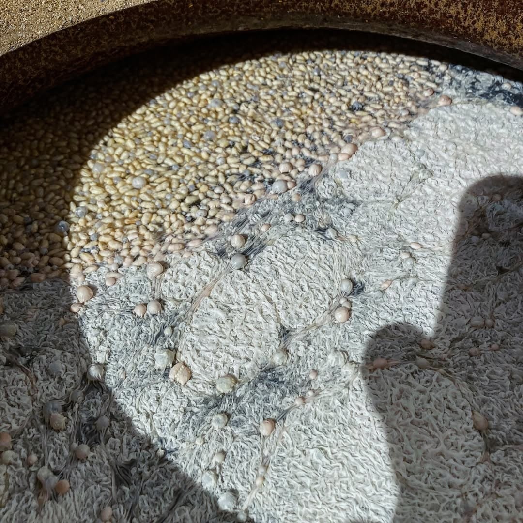 Z výroby octa od Oceterie