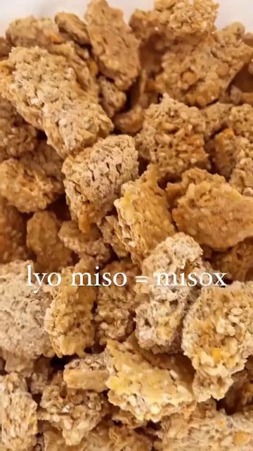 Lyofilizované miso od Oceterie