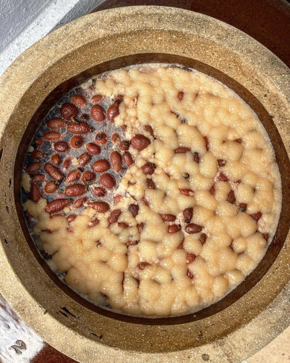 Z výroby rýžového octa se šípkem od Oceterie