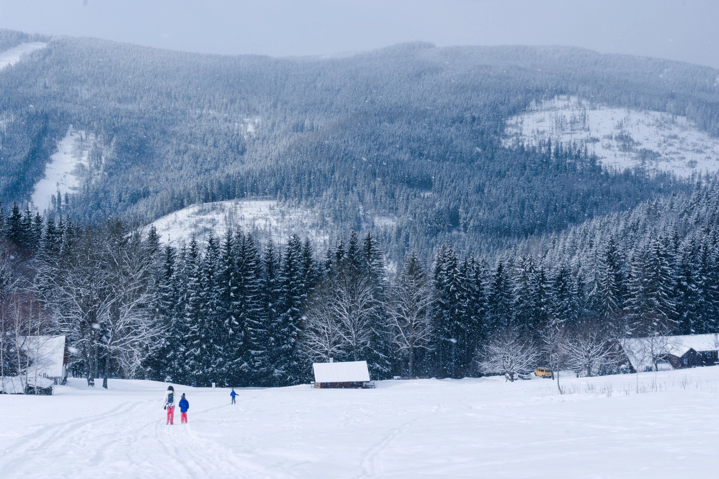Pentax K20D + SMC Pentax-DA 35mm F2.4 AL v zimě, 50% velikost