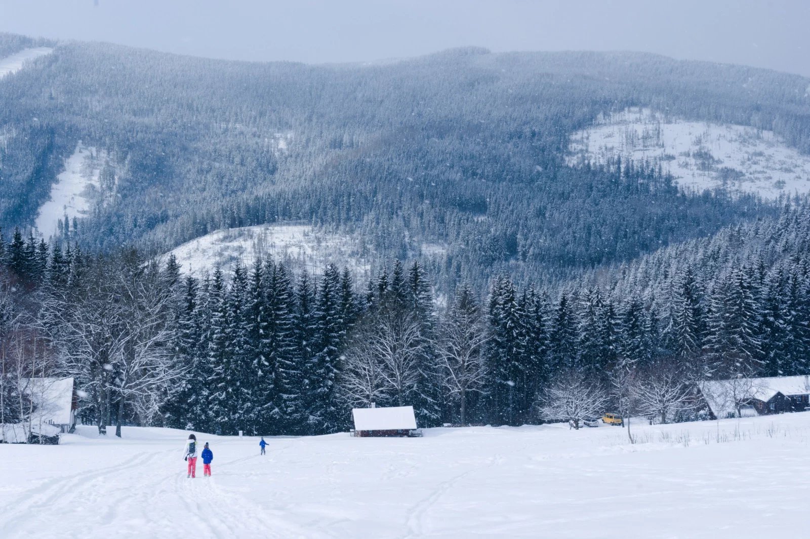 Pentax K20D + SMC Pentax-DA 35mm F2.4 AL v zimě, 50% velikost