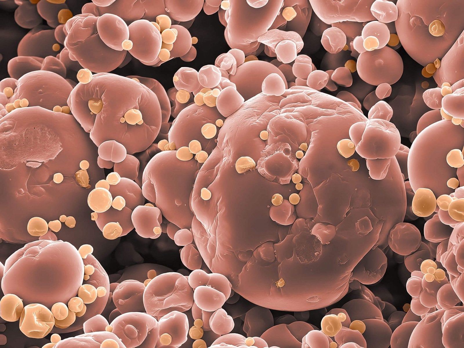 VITAMINY: β-karoten (zvětšení: 500×) β-karoten je přírodní karotenoidní barvivo. Je rozpustný v tucích a je provitaminem pro vitamin A. V organismu i v potravinách působí jako antioxidant. Přírodním zdrojem je zelenina a ovoce (mrkev, meruňky, papája, mango, nektarinky, broskve, špenát, brokolice, hrách, kapusta, řeřicha), do dalších potravin je přidáván jako přírodní barvivo. Chemický vzorec: C40H56