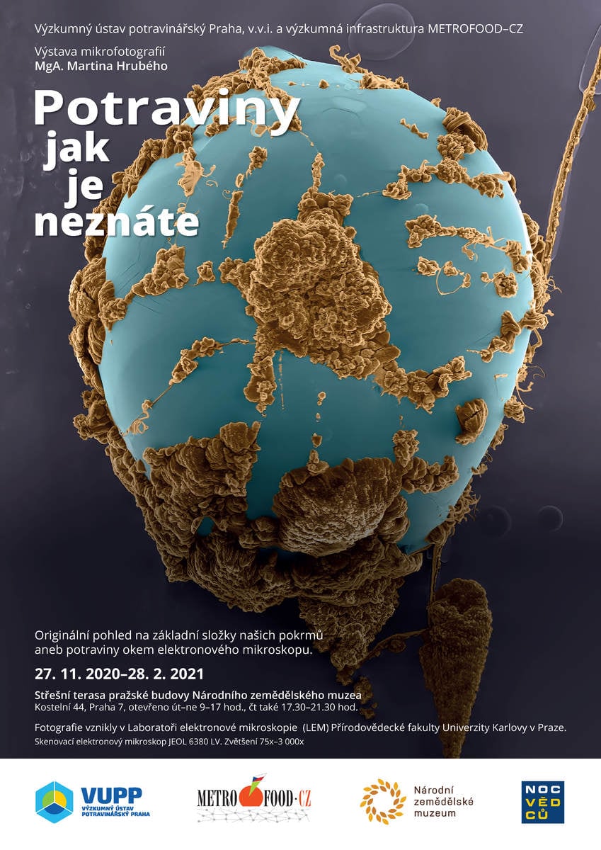 Fotografie: MgA. Martin Hrubý, produkce: Mgr. Helena Kavanová, popisky: Ing. Jana Rysová. Výstavu připravil Výzkumný ústav potravinářský v rámci projektu Metrofood.cz.