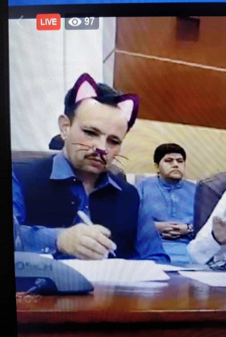 2019-06-Cat-filter-Pakistan-4.jpg