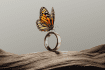 Oura Ring 5