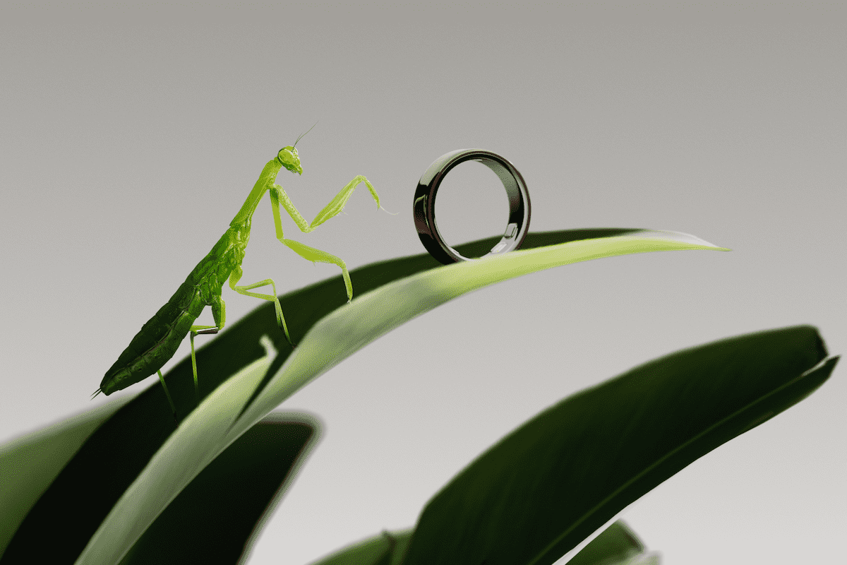 Oura Ring 5