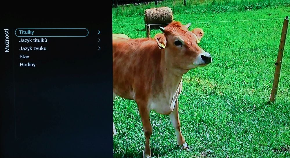 Na jiné stanici jich může být více...