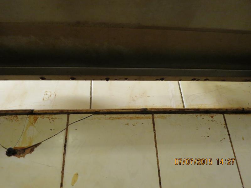 Restaurace U Trpaslíka, Plzeň