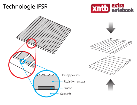 IFSR