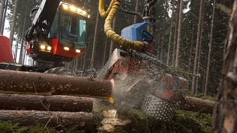 Náhledový obrázek - Brabec: Těžba dřeva se kvůli kůrovci letos zdvojnásobí na „šílené číslo“