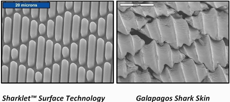 Jaký je rozdíl mezi kůží živého žraloka a tou umělou z produkce Sharklet Technologies?