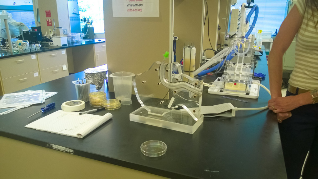 Sharklet Technologies sází především na zdravotnický trh.