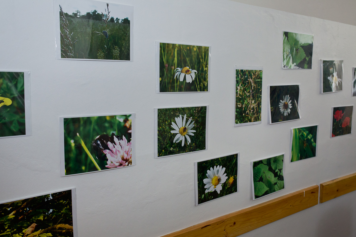 V Kosmonosech nabízejí pravidelně možnost veřejnosti seznámit se s prostory a děním Psychiatrické nemocnice