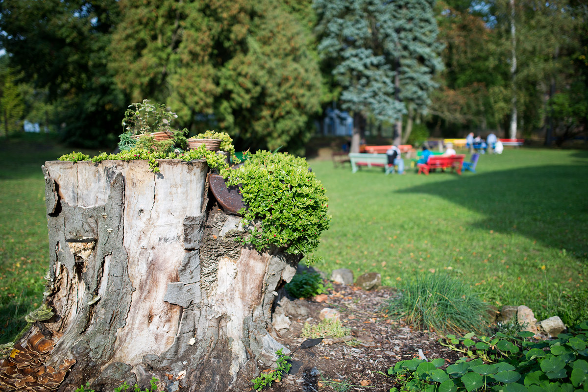 V Kosmonosech nabízejí pravidelně možnost veřejnosti seznámit se s prostory a děním Psychiatrické nemocnice