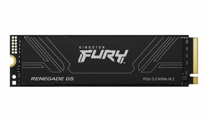Kingston Fury Renegade G5 SSD