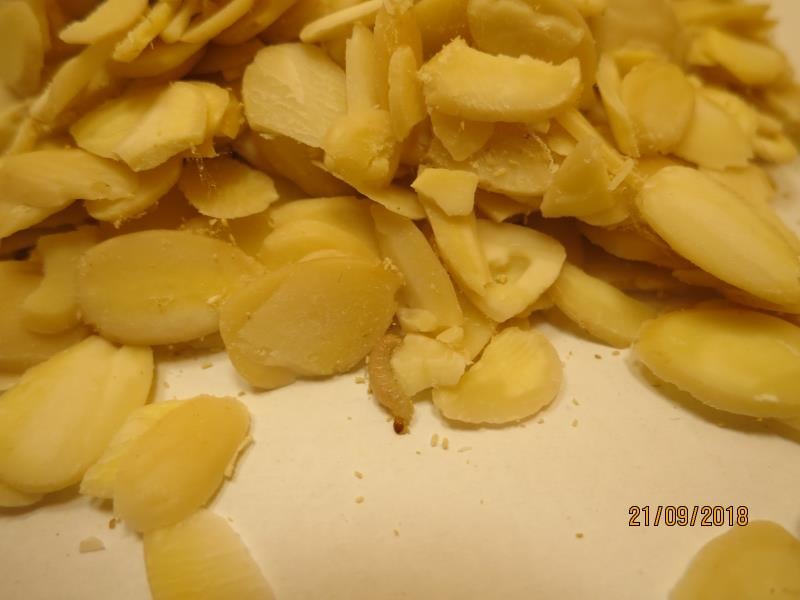 Nebezpečné ořechy