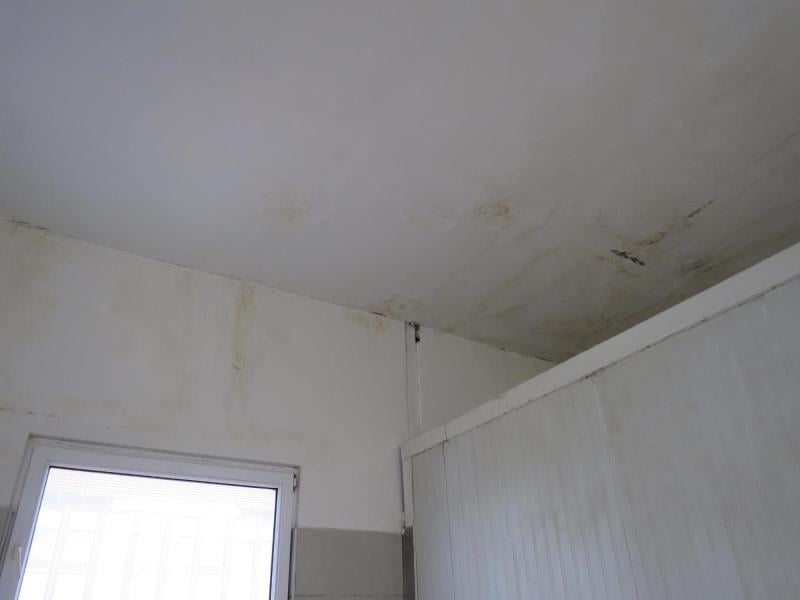 Proč zavřeli Pekařství Vyškov v roce 2023