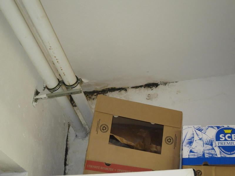 Proč zavřeli Pekařství Vyškov v roce 2023