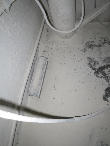 Proč zavřeli Pekařství Vyškov v roce 2023