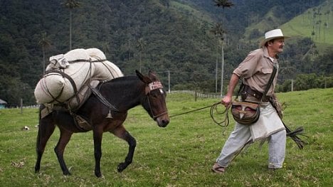 Náhledový obrázek - Na mule kolem světa. Kávu Juan Valdez následuje celý kavárenský řetězec