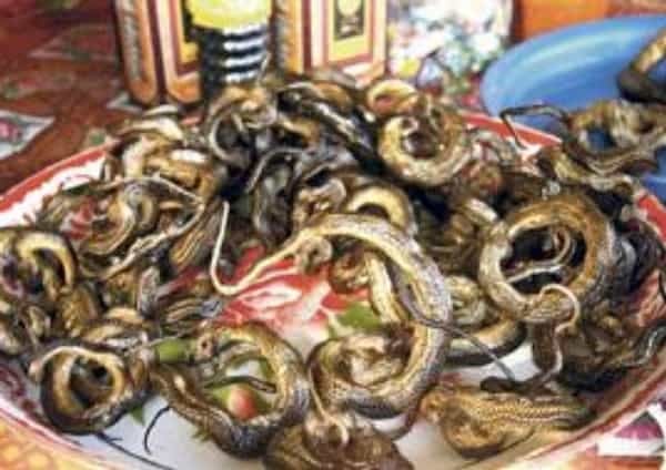 2016-10-do-kambodc5bee-na-hadc3ad-polc3a9vku-a-smac5beenc3a9-bro