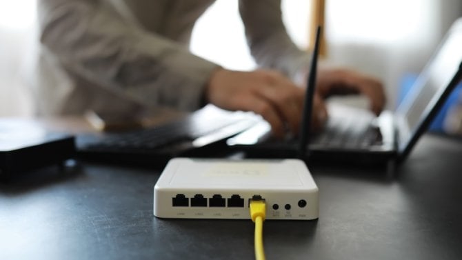 alexkich / Adobestock.com