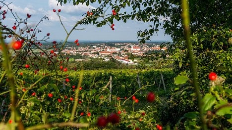 Náhledový obrázek - Tržby evropských vinařů mohou kvůli koronaviru klesnout až o polovinu