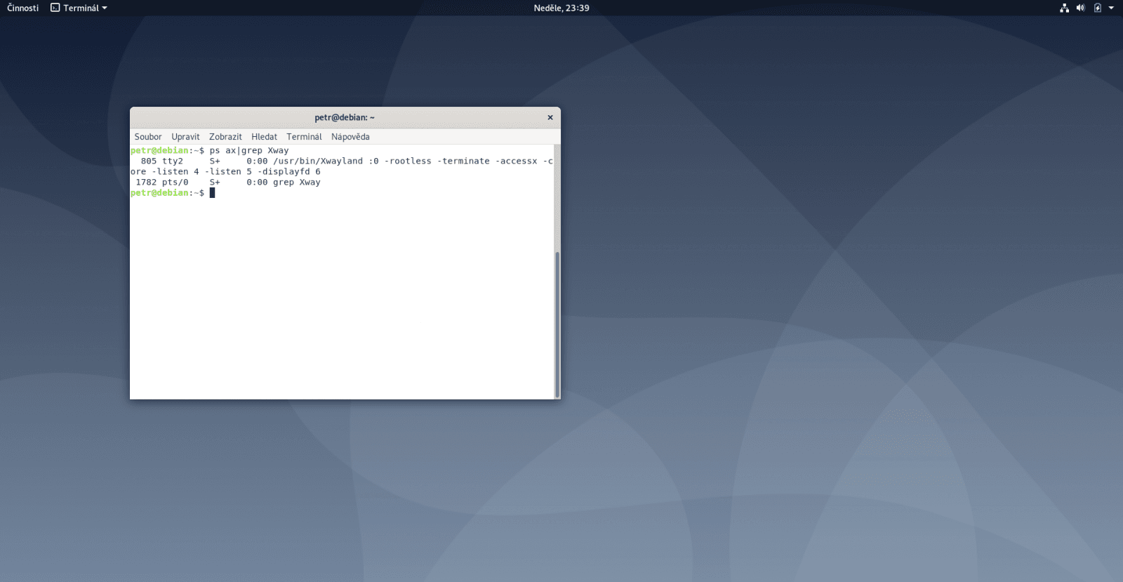 Debian 10 Buster GNOME Wayland