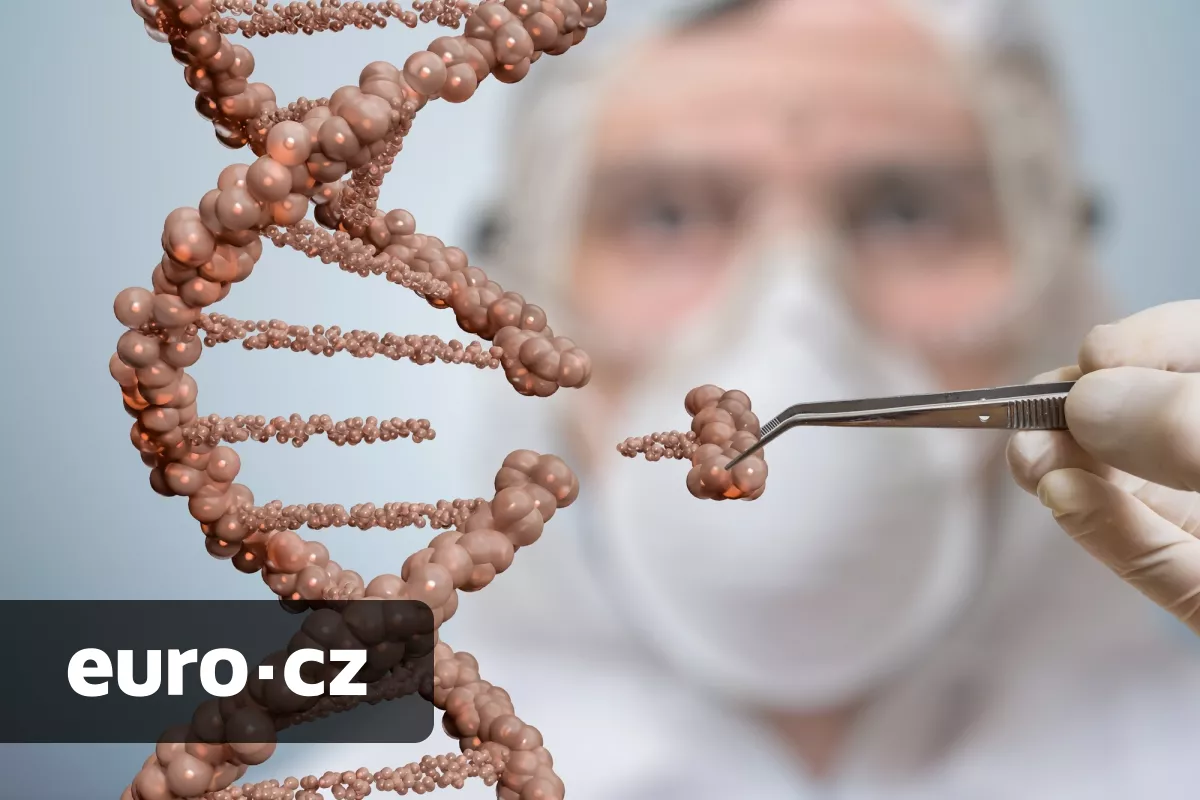 Další pokrok genetického inženýrství. Vědcům se díky využití metody CRISPR podařilo podstatně snížit hladinu cholesterolu