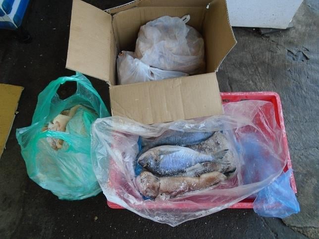 Výrobna Cuong Le Trong, Praha 4: Mrazené ryby a sépie - potraviny neznámého původu. Produkty jevily smyslové změny - okorání povrchu, vymrzlost.