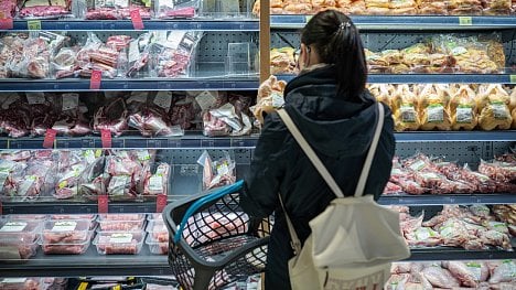 Náhledový obrázek - Na nákup s chatbotem. Obchodníci lákají zákazníky na umělou inteligenci, která jim pomůže s rozhodováním