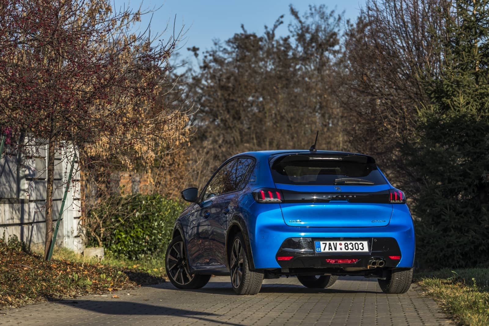 2020-01-Peugeot208027.jpg