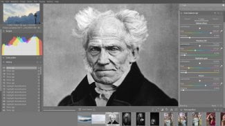 Ansel a Arthur Schopenhauer