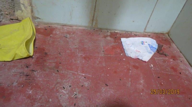 Myší trus. Výrazně zanedbaný úklid, nečistoty na podlaze, regálech či zařízeních. Riziko kontaminace potravin z důvodu nevyhovujících prostor.