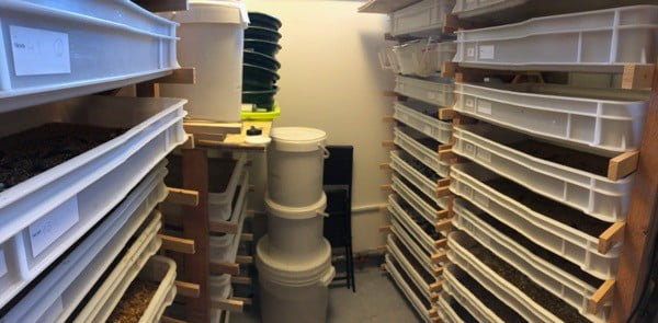 Původní chov moučných červů, od kterých bylo získáváno první hnojivo pro Hnojík.cz